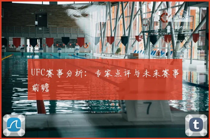 UFC赛事分析:专家点评与未来赛事前瞻