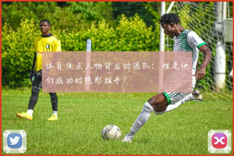 体育焦点人物背后的团队：谁是他们成功的隐形推手？
