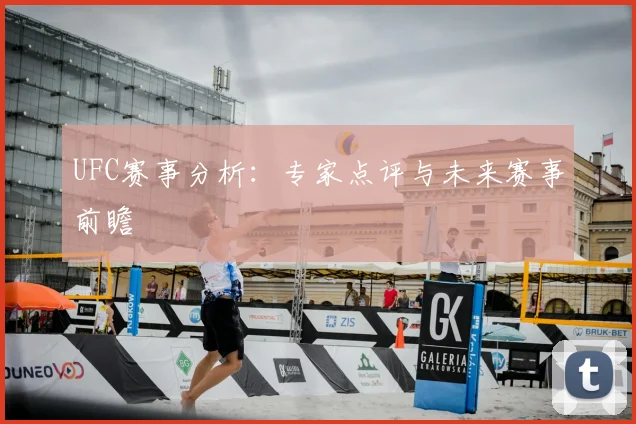 UFC赛事分析:专家点评与未来赛事前瞻