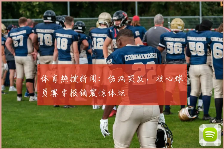 体育热搜新闻：伤病突发，核心球员赛季报销震惊体坛